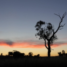 Farleigh Reserve - Sunset (NSW)