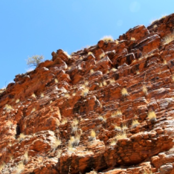 Rock Face On Way To Ormiston Gorge (NT)
