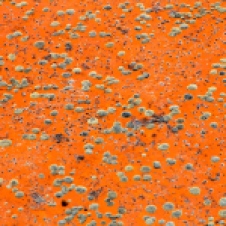 Uluru - 'Spinifex From The Air 1' (NT)