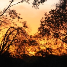 Bourke - Sunset (NSW)