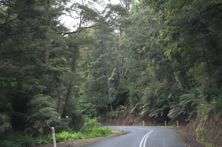 Tasman Highway To Pyengana (Tas)