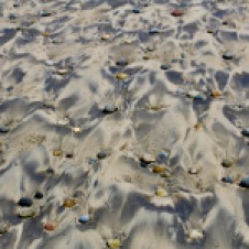 Ocean Beach - 'Washed Up 17' (TAS)