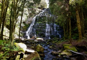 Nelson Falls (Tas)