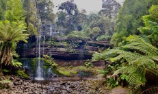 Mount Field National Park - Russell Falls (Tas)