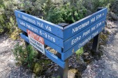 Cradle Mountain - Lake St Clair National Park - "Hmm, which way to go?"(Tas)