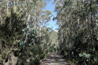 Harbacks Road (Tas)