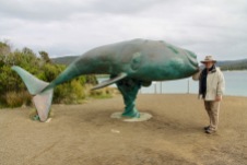 Cockle Creek - Whale Sculpture (Tas)