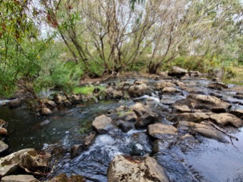 Winchelsea - Barwon River (VIC)