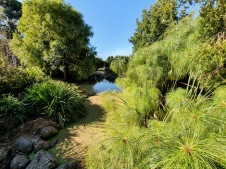 Penshurst Botanical Gardens (Vic)