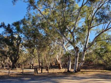 Jerilderie - Billabong Creek Campsite (NSW)