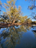 Jerilderie - Billabong Creek (NSW)